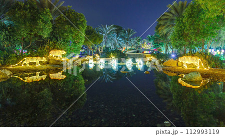 Dubai Glow Garden timelapse with illuminated trees and sculptures 112993119