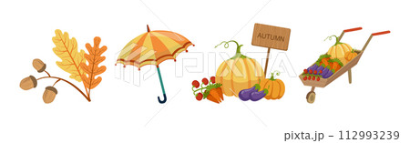 Autumn Season Object and Element Colorful Vector Set Autumn Season Object and Element Colorful Vector Set 112993239