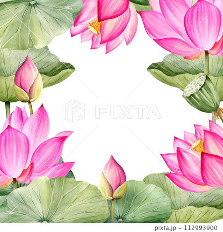 watercolor square frame with pink lotus flower, buds and leaves, hand drawn illustration of spa and yoga theme, sketch of purple water lily, Asian tropical flower isolated on white background 112993900