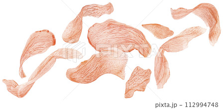 Red pickled ginger slices isolated on white background with clipping path Red pickled ginger slices isolated on white background with clipping path 112994748