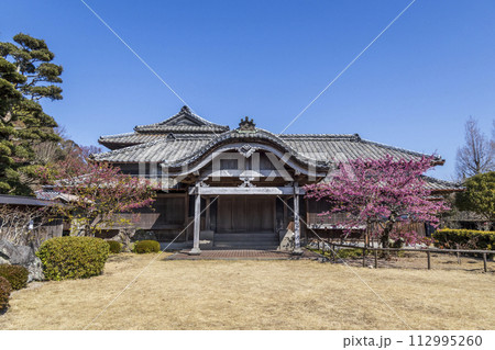 旧鍋島家住宅(鍋島邸)と緋寒桜【長崎県雲仙市】 旧鍋島家住宅(鍋島邸)と緋寒桜【長崎県雲仙市】 112995260