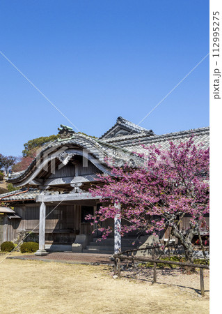 旧鍋島家住宅（鍋島邸）と緋寒桜【長崎県雲仙市】 112995275