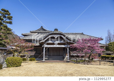 旧鍋島家住宅(鍋島邸)と緋寒桜【長崎県雲仙市】 旧鍋島家住宅(鍋島邸)と緋寒桜【長崎県雲仙市】 112995277