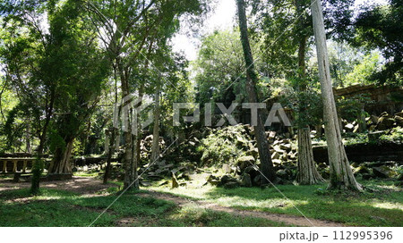 映画の舞台ともなったベンメリア遺跡【カンボジア】 映画の舞台ともなったベンメリア遺跡【カンボジア】 112995396