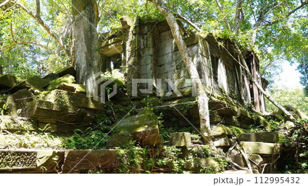 原型をとどめているベンメリア遺跡【カンボジア】 原型をとどめているベンメリア遺跡【カンボジア】 112995432