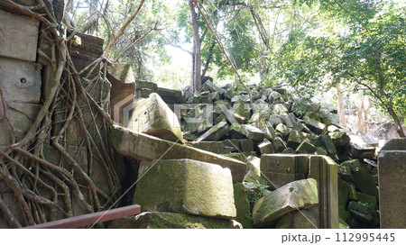 ほぼ倒壊のベンメリア遺跡【カンボジア】 ほぼ倒壊のベンメリア遺跡【カンボジア】 112995445