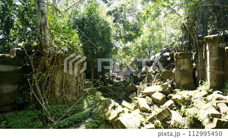 ほぼ倒壊のベンメリア遺跡【カンボジア】 ほぼ倒壊のベンメリア遺跡【カンボジア】 112995450