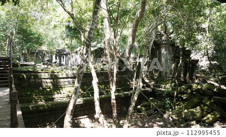 東のアンコール・ワットと呼ばれるベンメリア遺跡へ【カンボジア】 112995455