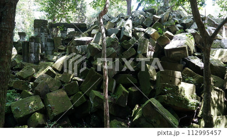 ほぼ倒壊のベンメリア遺跡【カンボジア】 112995457