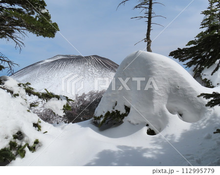 残雪期の黒斑山(木々に積もる雪と浅間山) 112995779