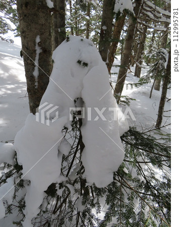 残雪期の黒斑山(まつ毛の長い犬に見える雪) 残雪期の黒斑山(まつ毛の長い犬に見える雪) 112995781