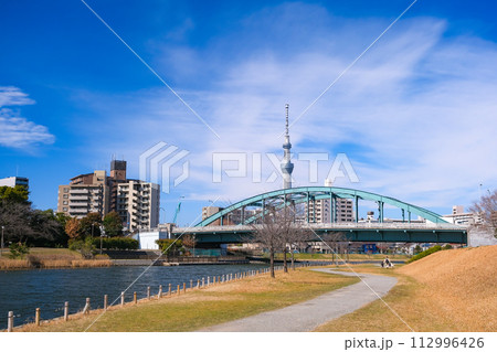 東京都江戸川区 旧中川の河川敷と東京スカイツリー 112996426