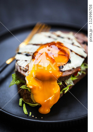 Gourmet sandwich with roasted pork (ham), pickled cucumber, lettuce, sauce, artisan bread and fried egg 112996708