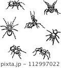 spider, tarantula, insect, danger, bite, black, vector, graphics, design, sign, image, isolated, illustration, picture, large, eyes, fang, hairs, paws, object, drawing, symbol 112997022