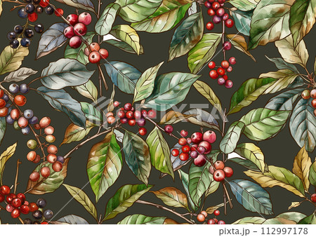Coffee tree. Branch with leaves and berries. Coffee tree. Branch with leaves and berries. 112997178