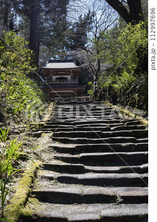 鎌倉243 浄智寺9 石段 鎌倉243 浄智寺9 石段 112997696