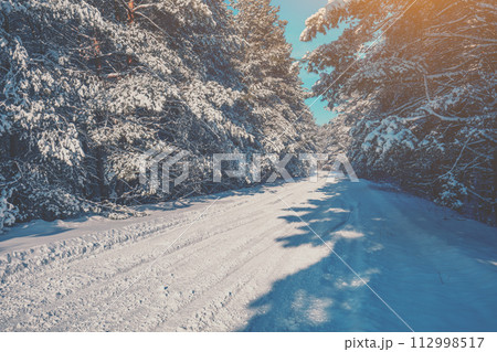 Road in the winter pine forest on a sunny day. Trees covered with snow Road in the winter pine forest on a sunny day. Trees covered with snow 112998517