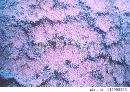 Abstract texture of the Dead sea salty shore. Salt crystals nature background in blue-purple color 112998526