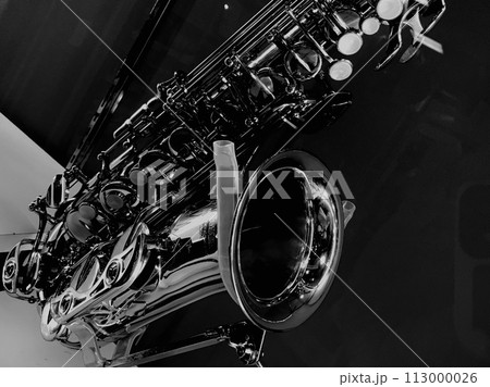 トランペット 113000026