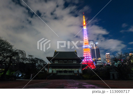東京都港区 夜の増上寺と東京タワー 113000717
