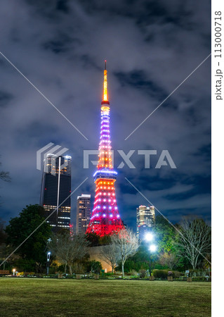 東京都港区 夜の芝公園と東京タワー 113000718