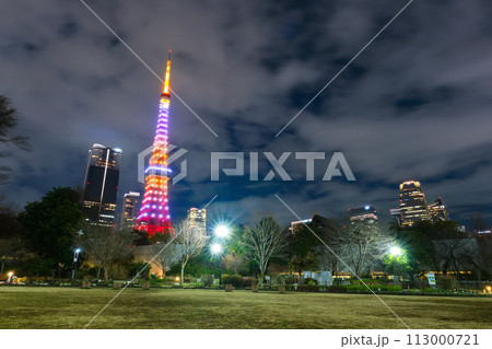 東京都港区 夜の芝公園と東京タワー 113000721