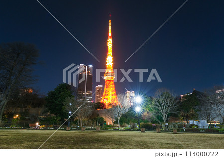 東京都港区 夜の芝公園と東京タワー 113000722
