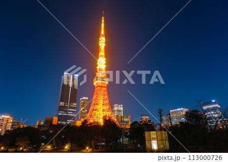 東京都港区 夜の芝公園と東京タワー 東京都港区 夜の芝公園と東京タワー 113000726