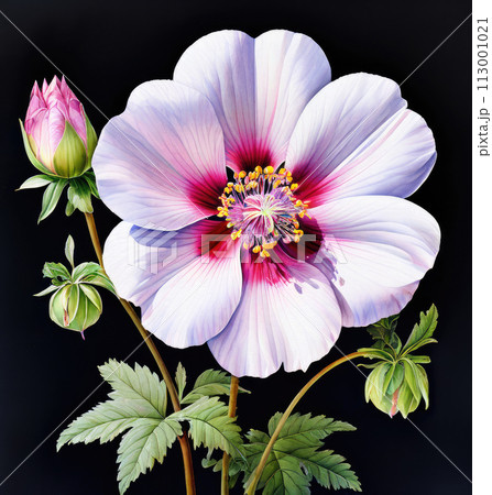 Beautiful flower. Floral art painting. 113001021