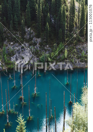 Kaindy Lake in Tien Shan mountains in Kazakhstan in summer with a sunken fir forest. Top view from a drone Kaindy Lake in Tien Shan mountains in Kazakhstan in summer with a sunken fir forest. Top view from a drone 113001076