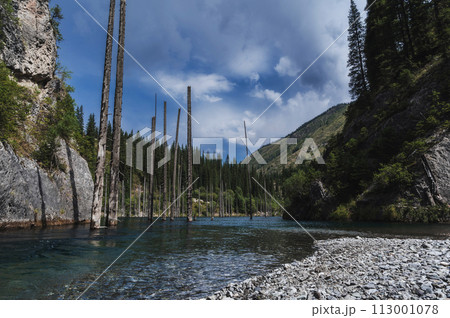 landscape with a beautiful lake with blue water and tree trunks of a sunken forest in summer. Kaindy Lake in Tien Shan mountains in Kazakhstan near Almaty 113001078