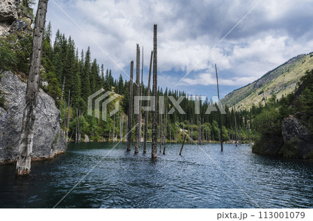 amazing Kaindy Lake in the Tien Shan mountains in summer in Kazakhstan on cloudy day. A mysterious lake with a sunken fir forest amazing Kaindy Lake in the Tien Shan mountains in summer in Kazakhstan on cloudy day. A mysterious lake with a sunken fir forest 113001079
