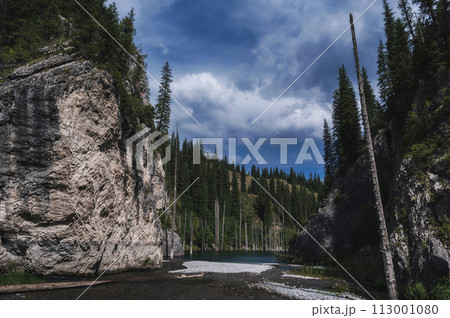 landscape with a beautiful lake with blue water and tree trunks of a sunken forest in summer. Kaindy Lake in Tien Shan mountains in Kazakhstan near Almaty 113001080