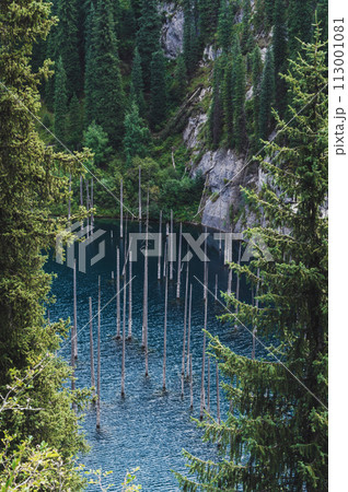 landscape with Kaindy Lake with blue water and a sunken forest with tree trunks in Kazakhstan in Tien Shan mountains in summer. Top view from a drone 113001081