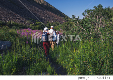 group of people tourists travelers with backpacks on hike in field in the mountains in nature in summer group of people tourists travelers with backpacks on hike in field in the mountains in nature in summer 113001174
