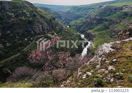 Panoramic view of Aksu canyon with a river in rocks in spring in Kazakhstan Panoramic view of Aksu canyon with a river in rocks in spring in Kazakhstan 113001223