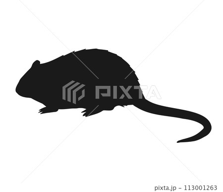 Vector hand drawn nutria silhouette 113001263
