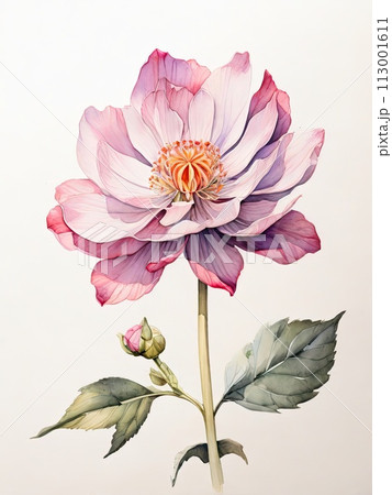 Beautiful flower. Floral art painting. Beautiful flower. Floral art painting. 113001611