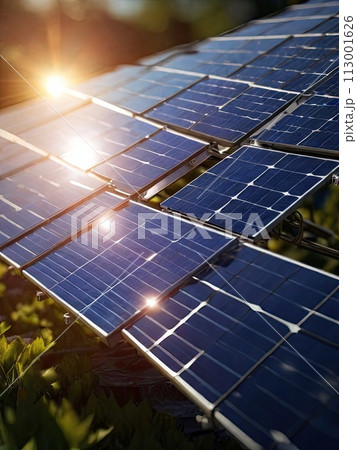Solar panels on the roof. Modern technology solution. 113001626