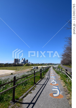 ビル群と河川敷 ビル群と河川敷 113001765