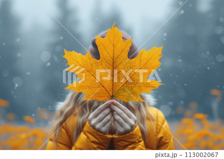 Girl in the park playing with autumn maple leafのイラスト素材 [113002067] - PIXTA