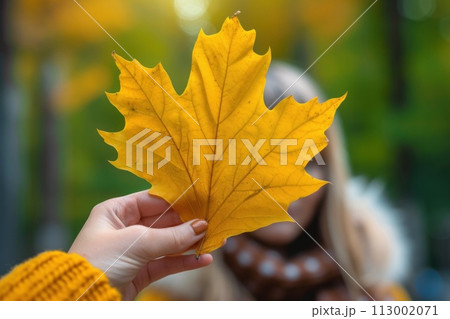 Girl in the park covering her face with a golden maple leaf 113002071