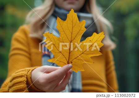 Autumn forest through the prism of a yellow leaf in the hands of a girl 113002072