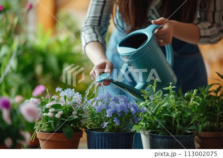 Caring woman watering flowers in pots from watering can 113002075