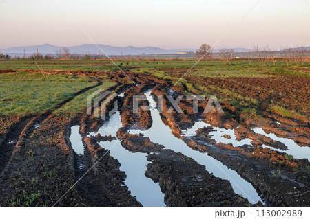 Tractor wheel tracks filled with water in the field Tractor wheel tracks filled with water in the field 113002989