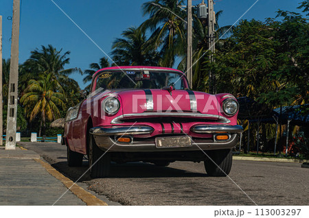 Bright pink retro convertible with palm trees on the streets of Varadero on Cuba. Low angle 113003297