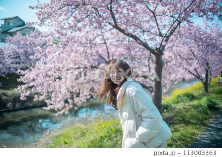 河津桜と女性 113003363