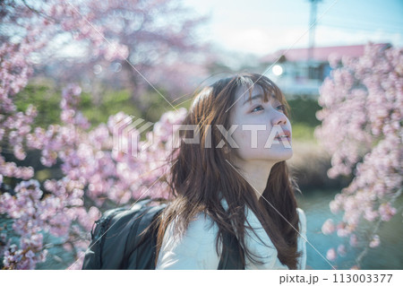 河津桜と女性 河津桜と女性 113003377