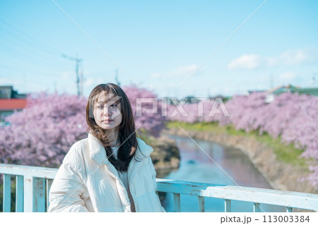 河津桜と女性 河津桜と女性 113003384