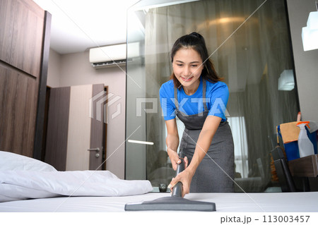 Woman removing dust and dirty on mattress with vacuum cleaner. Housekeeping and cleaning service concept Woman removing dust and dirty on mattress with vacuum cleaner. Housekeeping and cleaning service concept 113003457